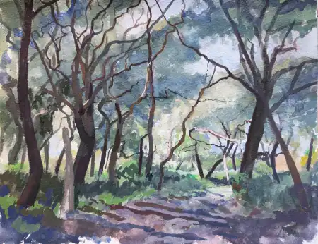 Buccheri Twisted Cork Tree Trunks - Nicholas Stedman