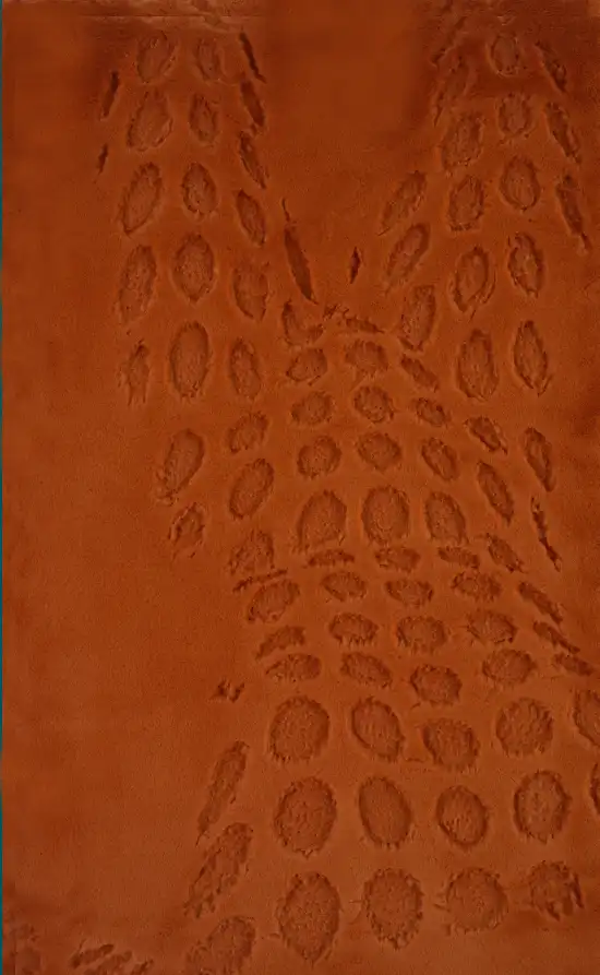 Recumbent nude figure rendered with cut fur texture