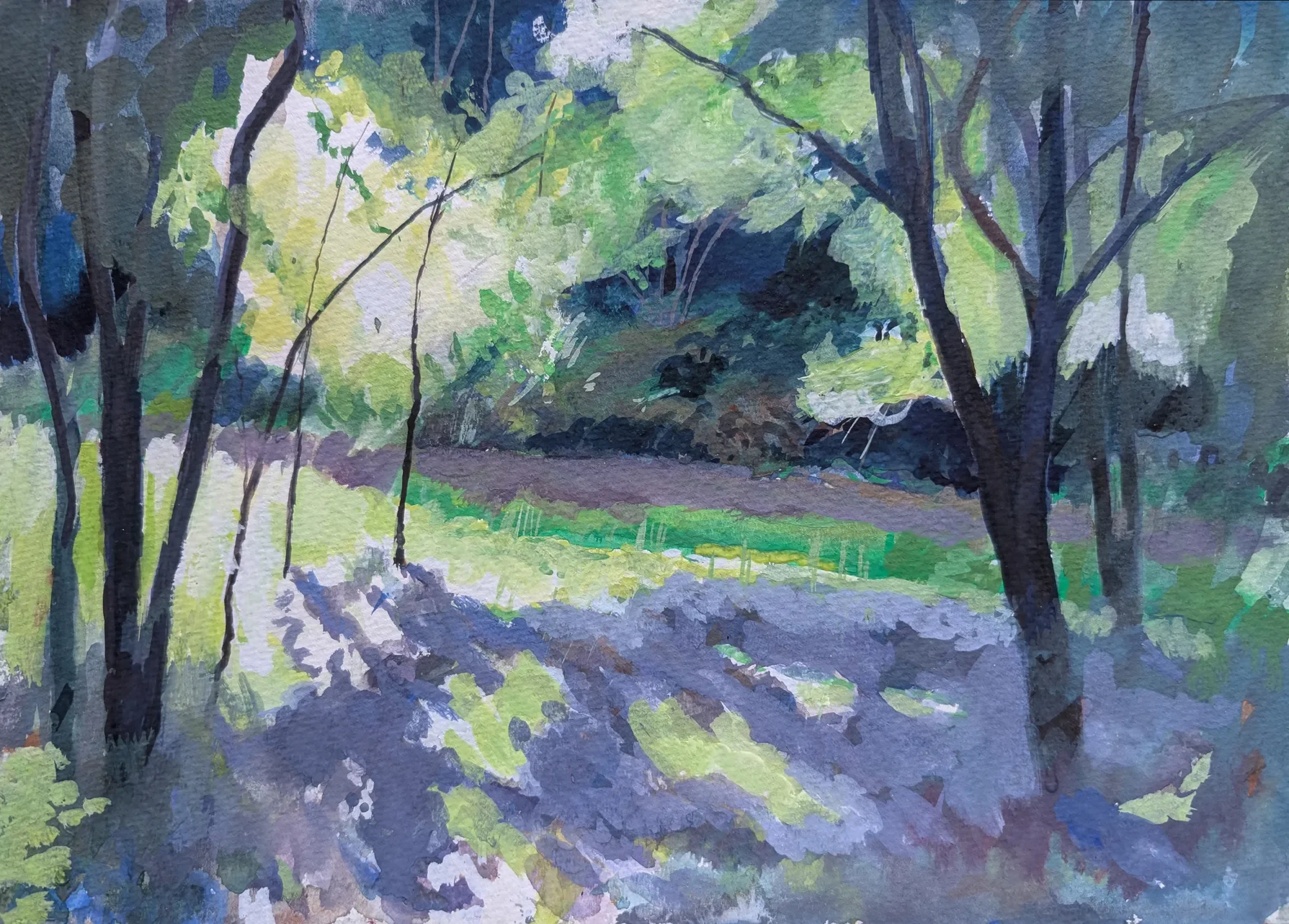 Gouache painting of light and shade in a woodland clearing