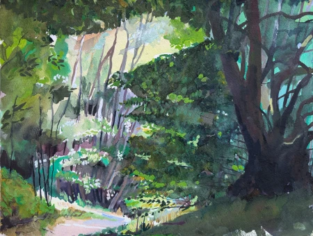Gouache painting of woodland near Canterbury