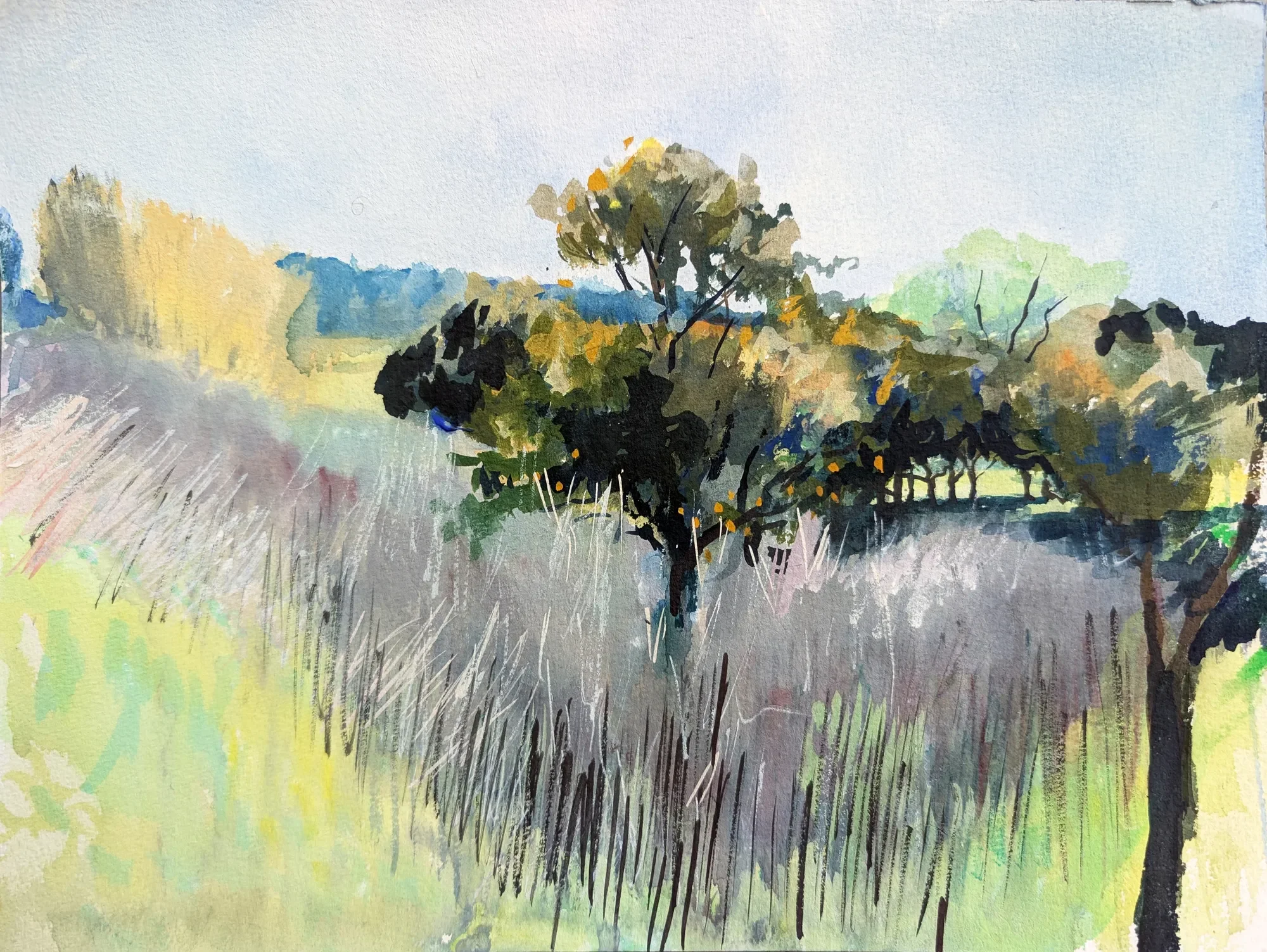 Gouache painting of Sicilian landscape with an orange tree near Siracusa