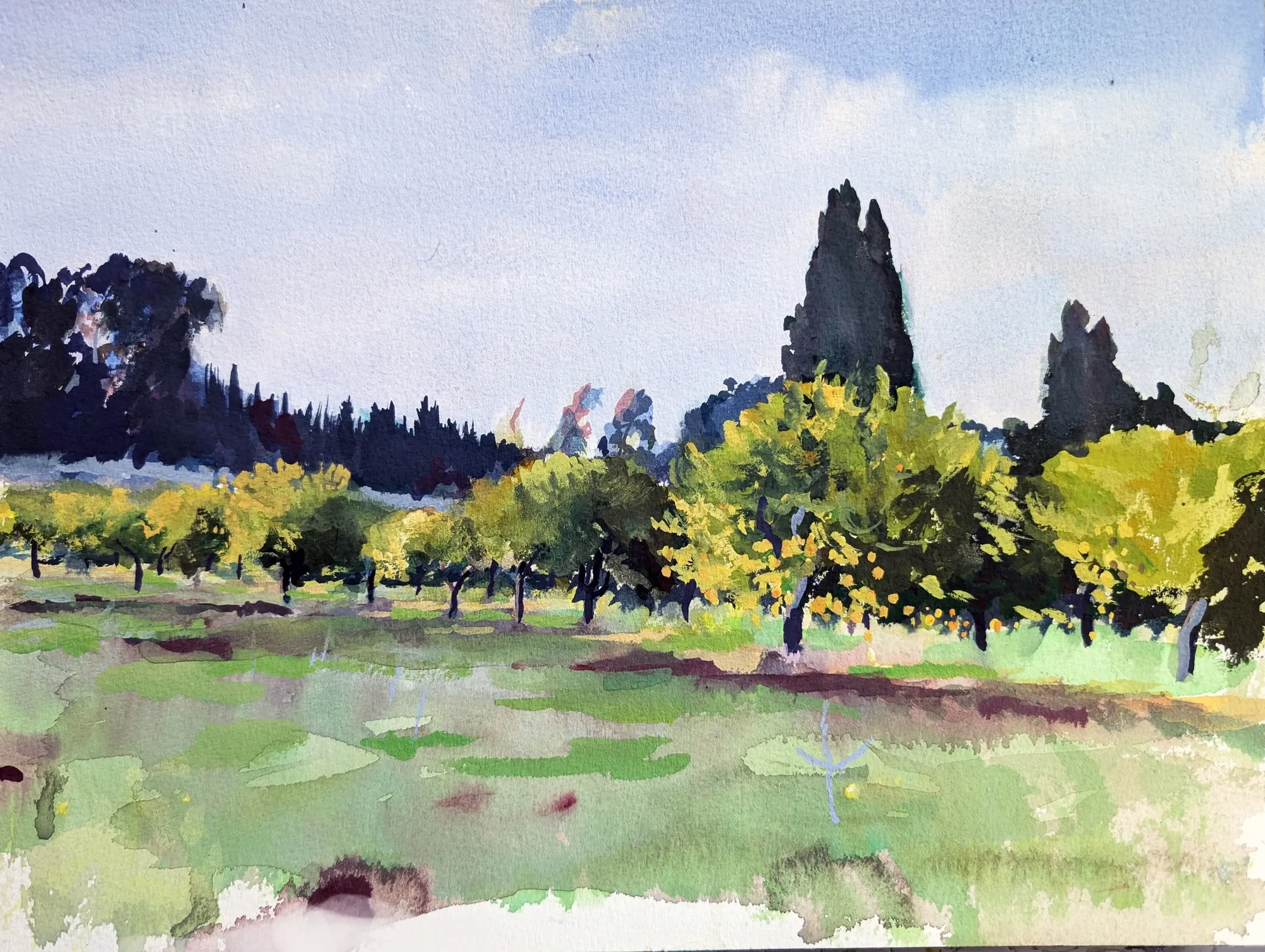 Gouache painting of winter landscape with an orange tree near Siracusa