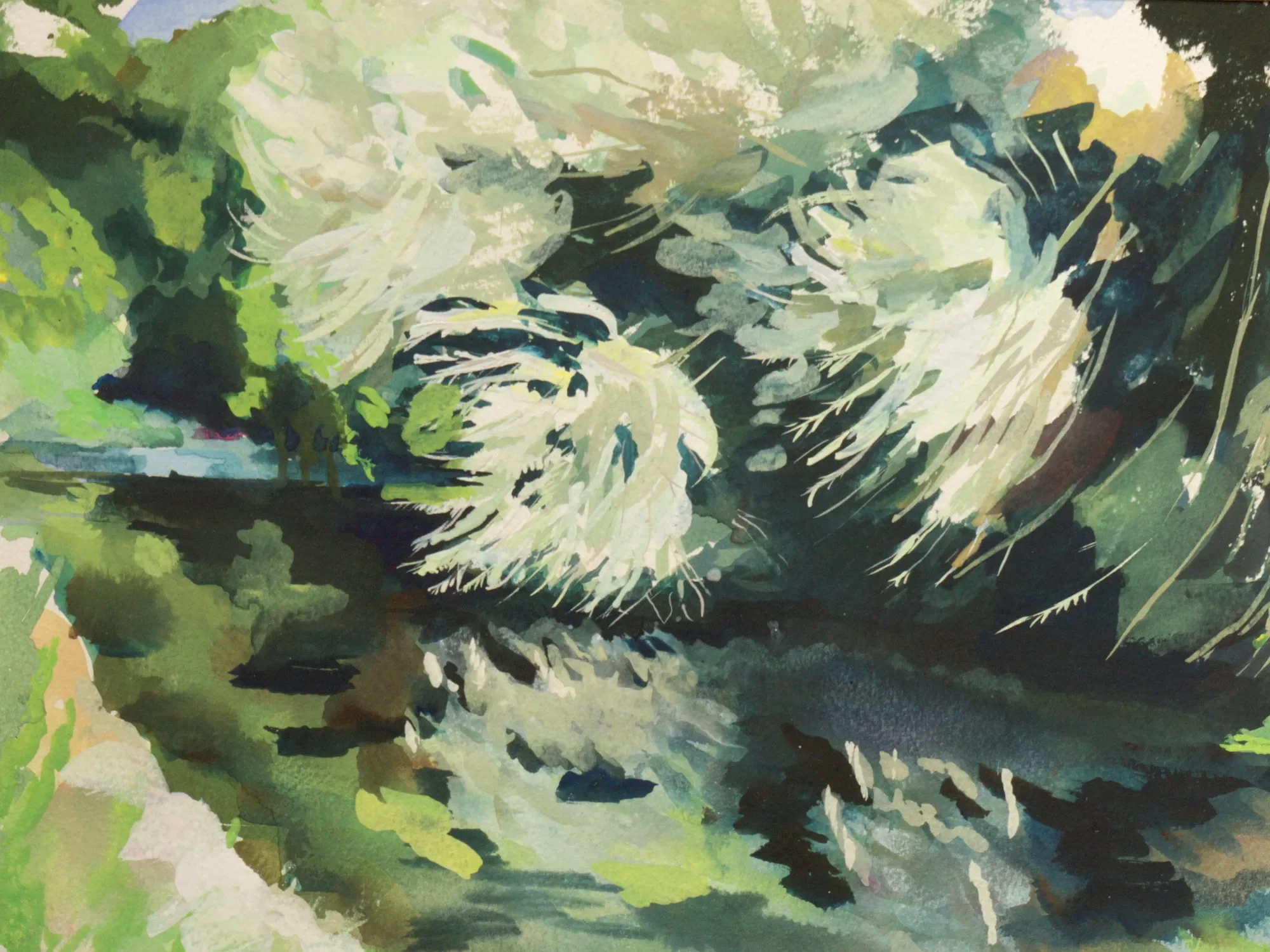 Gouache painting of cricket bat willow trees on the River Stour