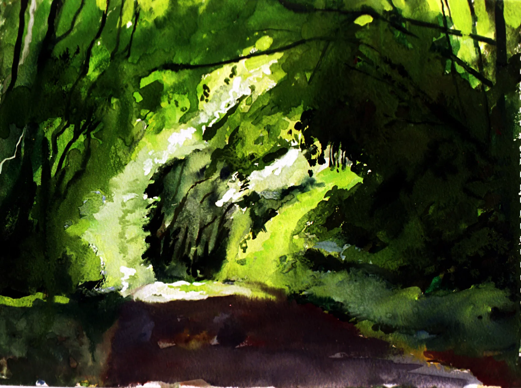 Gouache painting of a woodland path in Kent