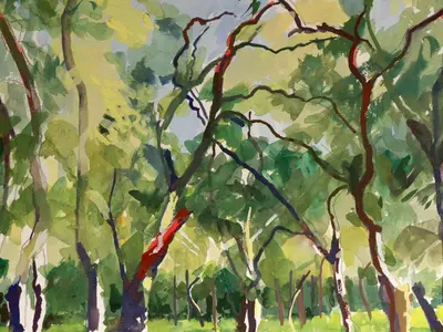 Gouache painting of cork oak woodland in Buccheri, Sicily