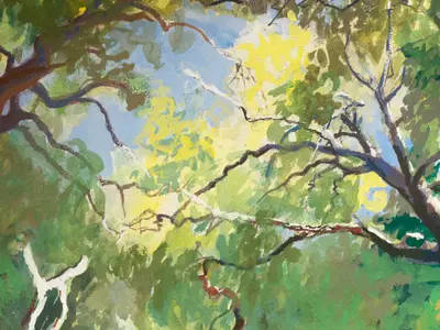 Gouache painting looking upward through oak branches to the Sicilian sky