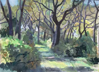 Gouache painting of sunlit cork oak woodland in Buccheri