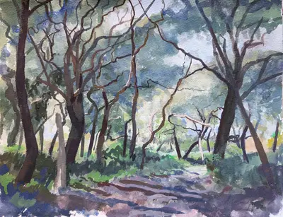 Gouache study of twisted cork oak trunks in woodland