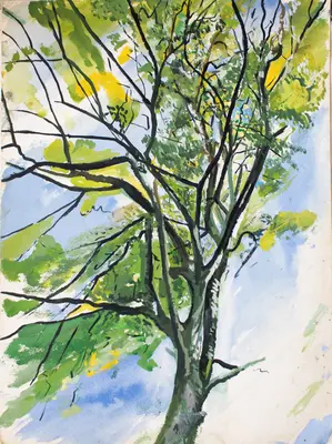 Gouache painting of a tree near Briquebec in France