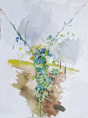 Gouache sketch of hopvine leaves and stems