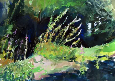 Gouache painting of woodland with rosebay willowherb