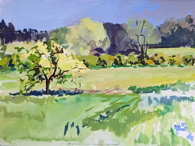 Gouache painting of a winter orange tree landscape in Ciane Reserve