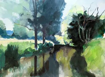 Gouache painting of sunlit willows on the River Stour bank