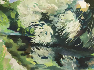 Gouache painting of cricket bat willow trees on the River Stour